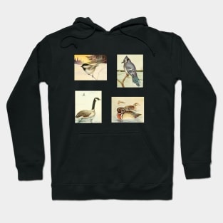 Birds of Canada Pack 2 - Chickadee, Blue Jay, Canada Goose, Wood Duck Hoodie